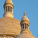 Dawn Sacre Photo 7