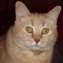 Debra Jernigan Photo 2
