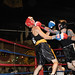 Renee Peck Photo 29