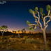 Joshua Patterson Photo 26