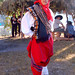 Victor Velasquez Photo 18