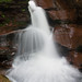 Sean Ricketts Photo 15