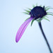 Wei He Photo 11