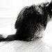 Judy Hard Photo 3