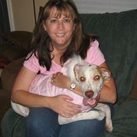Cynthia Bird Photo 34