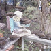 Zenaida Cook Photo 9