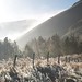 Misty Justice Photo 19