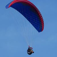 Steve Metcalfe Photo 40