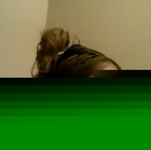 Tanisha Collins Photo 33