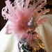 Marie Smyth Photo 22