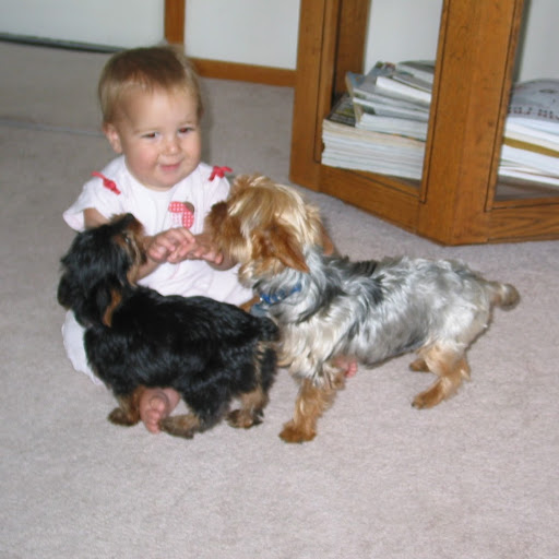 Nancy Bozarth Photo 6