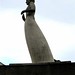David Edstrom Photo 17