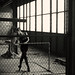 Shari Meyer Photo 15