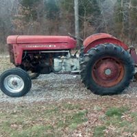 Harry Davis Photo 28