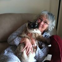 Sherry Lyles Photo 17