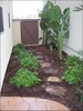David Kays Photo 19