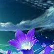 Baljit Saini Photo 11