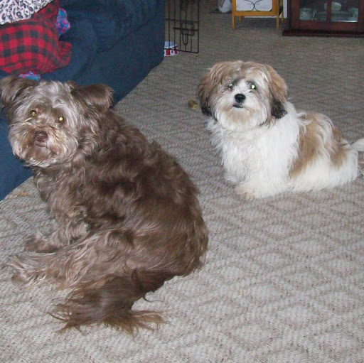 Ruth Wolf Photo 9