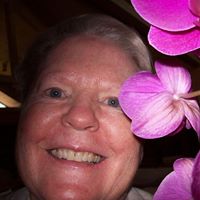 Ann Lindberg Photo 12
