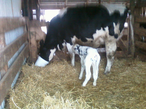 Julie Aldrich Photo 37
