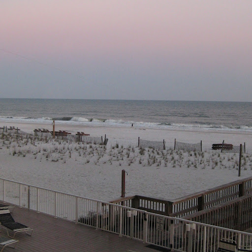 Diane Fleming Photo 9