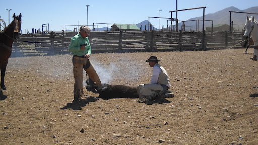 Shelley Jones Photo 28
