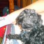 Maryann Howell Photo 20