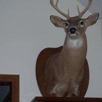 Joe Robertson Photo 24