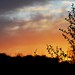 Russell Dudley Photo 14