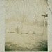 Frances Mccoy Photo 22