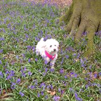 Doreen King Photo 23