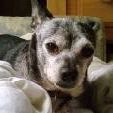 Tricia Vickery Photo 7