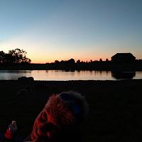 Dawn Wilber Photo 4