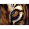 Venkatesh Ramakrishnan Photo 8