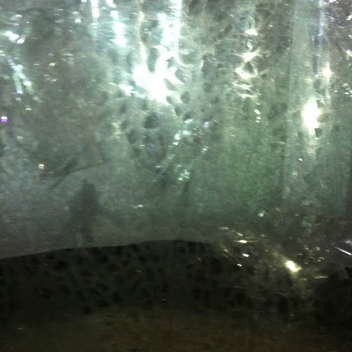 Susan Woods Photo 32