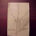 Juanita Shifflett Photo 11