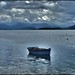 Albert Morris Photo 19