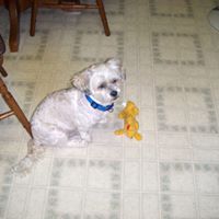 Rhonda Burroughs Photo 7