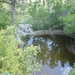 Dwight Jacobs Photo 7