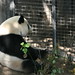 Mei Su Photo 29