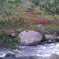 Henry Brooks Photo 39