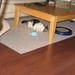Madeline Sharp Photo 15
