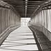 Jay Rector Photo 6
