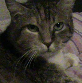 Joni Williams Photo 39