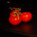 Marc Sherman Photo 22