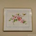 Frances Henry Photo 19