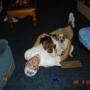 Jimmy Loveless Photo 18