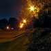 William Kraus Photo 10