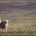 Barbara Starkey Photo 12
