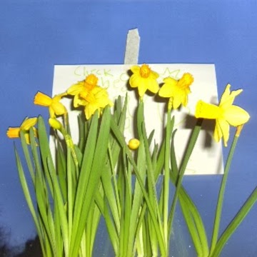 Maria Cartwright Photo 21